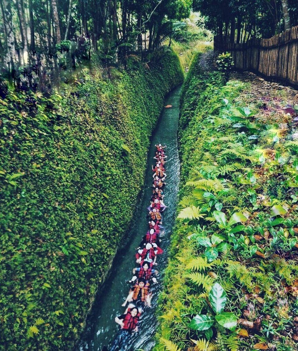 instagram.com/ariemohr