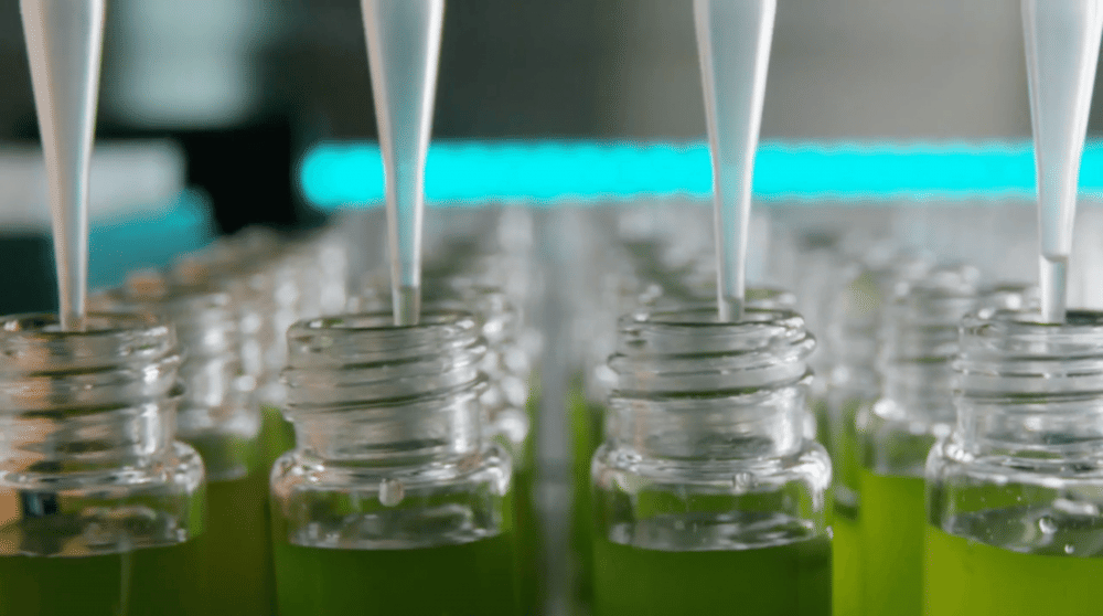 geneticliteracyproject.org