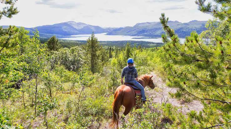 travelyukon.com