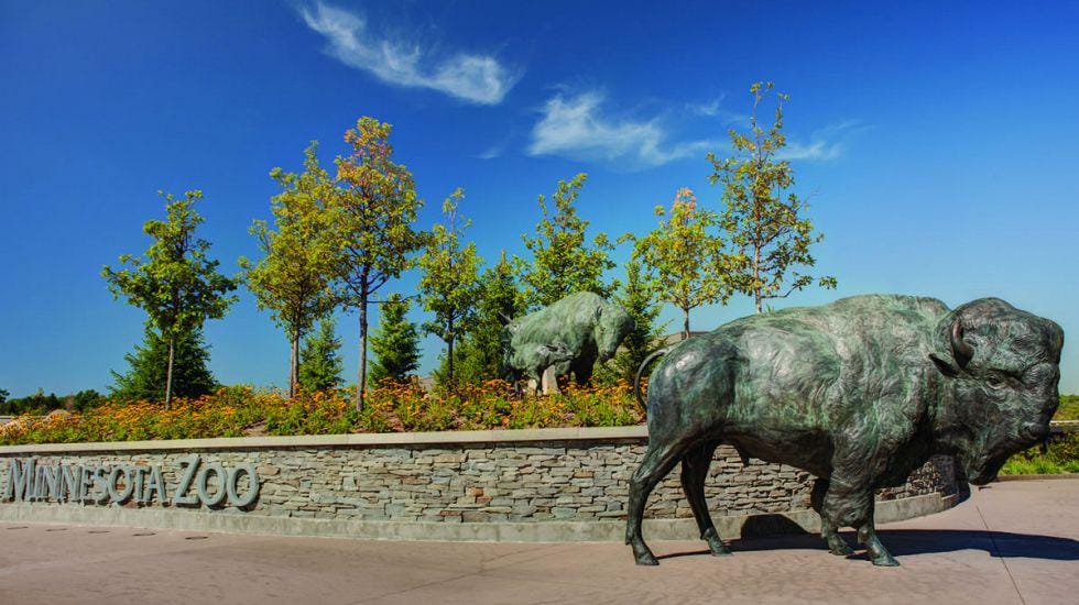 minneapolisnorthwest.com