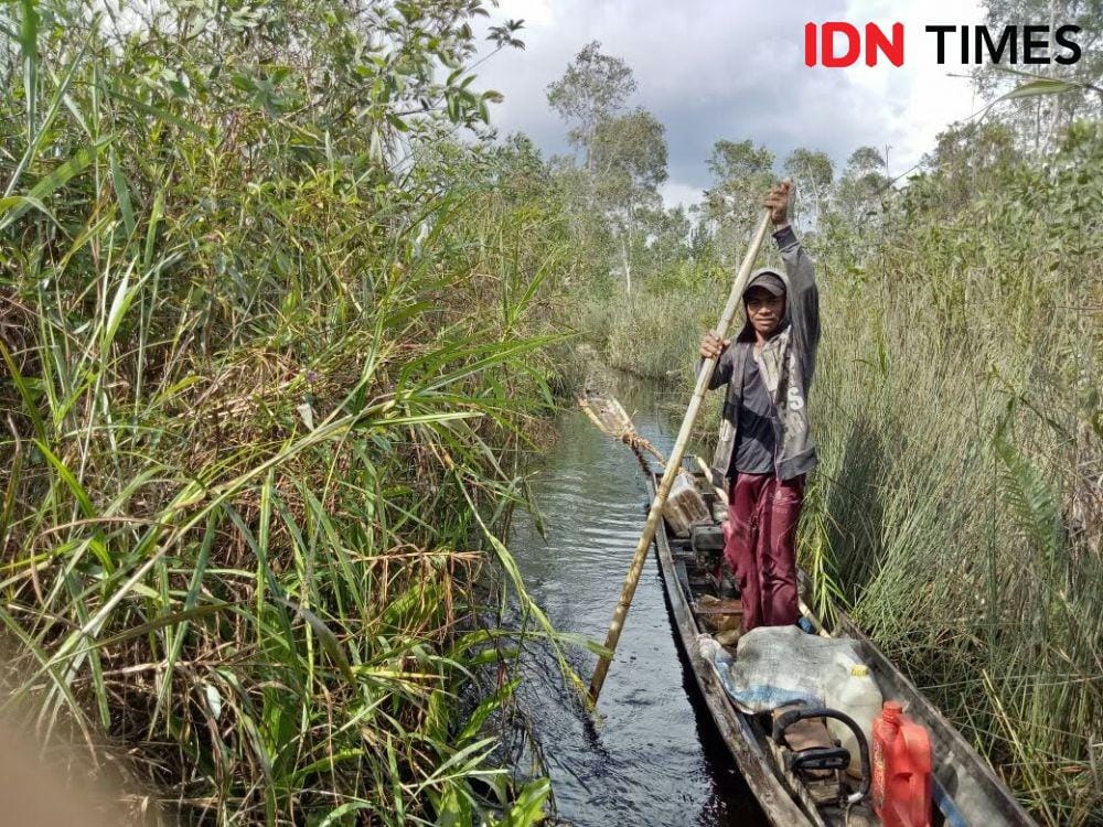 Sebagian besar wilayah Sumsel merupakan daerah rawa dan gambut (Dok.IDN Times/Istimewa)