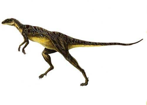 dinosaurpictures.org