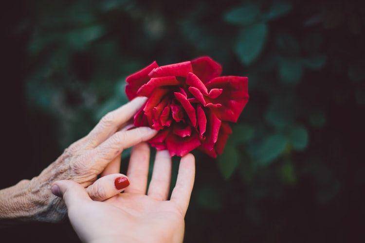 unsplash.com/ Jake Thacker