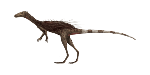 a-dinosaur-a-day.com