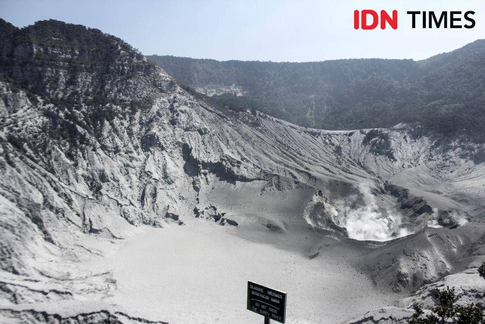 IDN Times/Galih Persiana