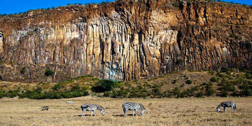 focuseastafricatours.com