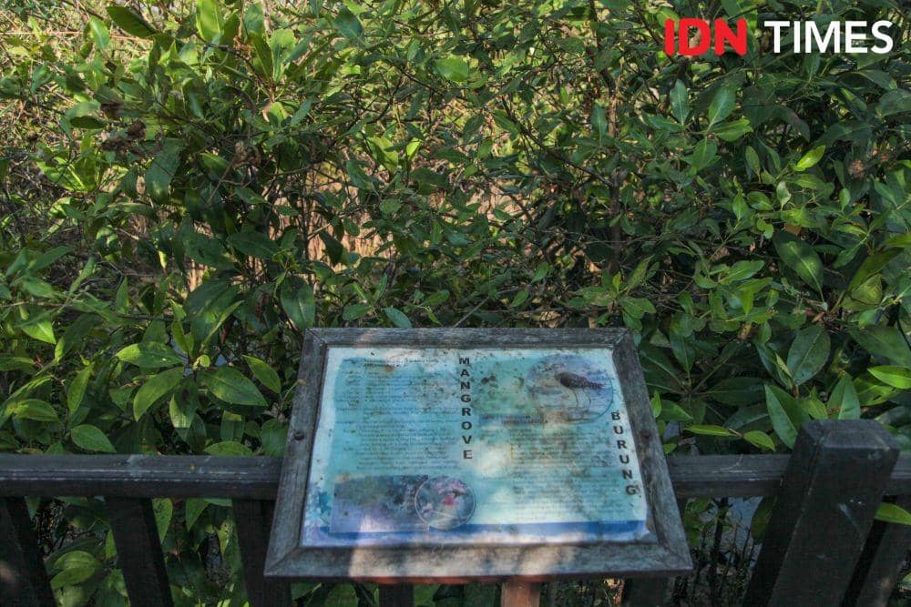 IDN TImes/Reza Iqbal