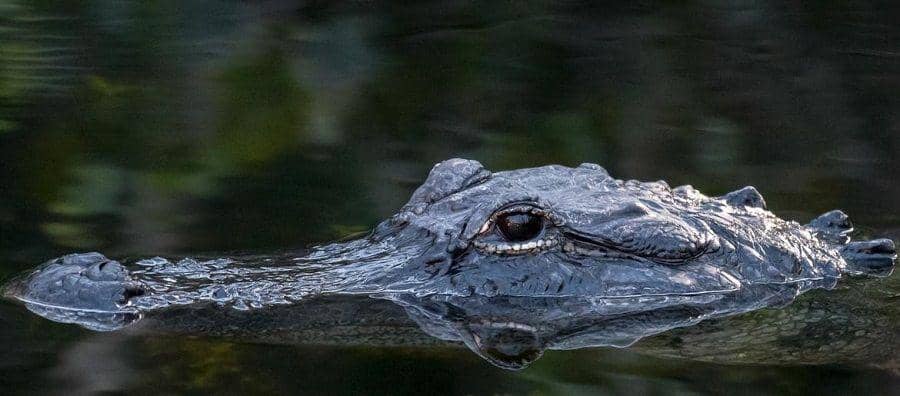 670thescore.radio.com