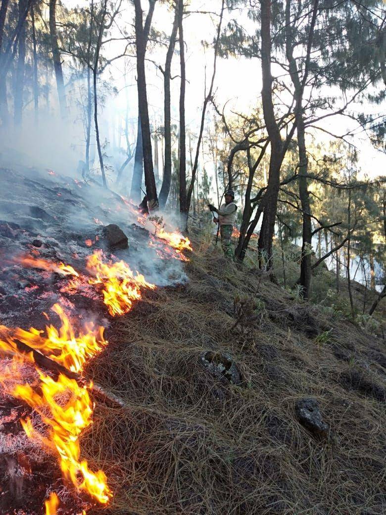 Kebakaran Gunung Arjuno beberapa waktu lalu. Dok.BNPB