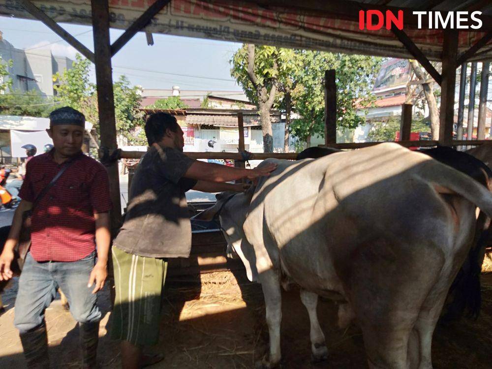 IDN Times/Fariz Fardianto