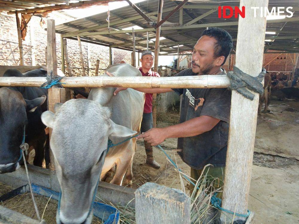 IDN Times/Fariz Fardianto