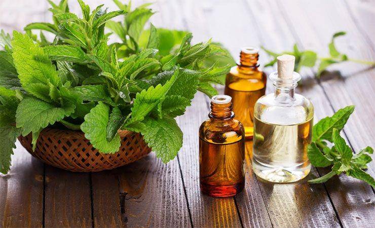 asaorganics.com.ng
