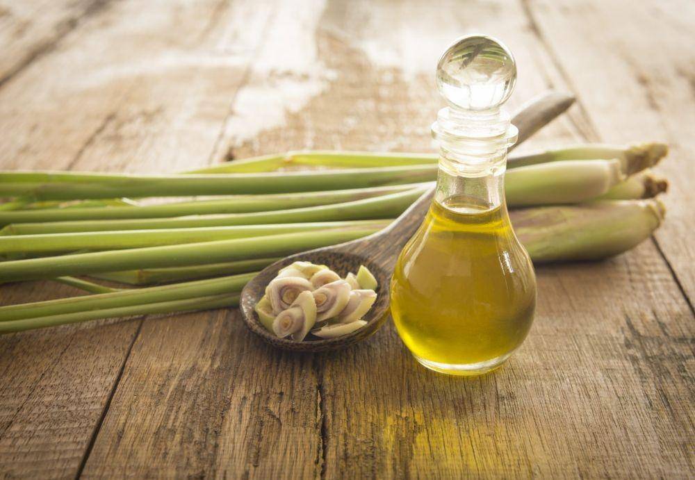 getnaturalessentialoils.com