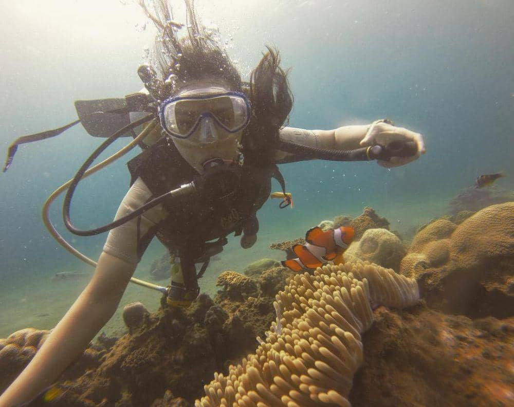 instagram.com/inefebriyanti