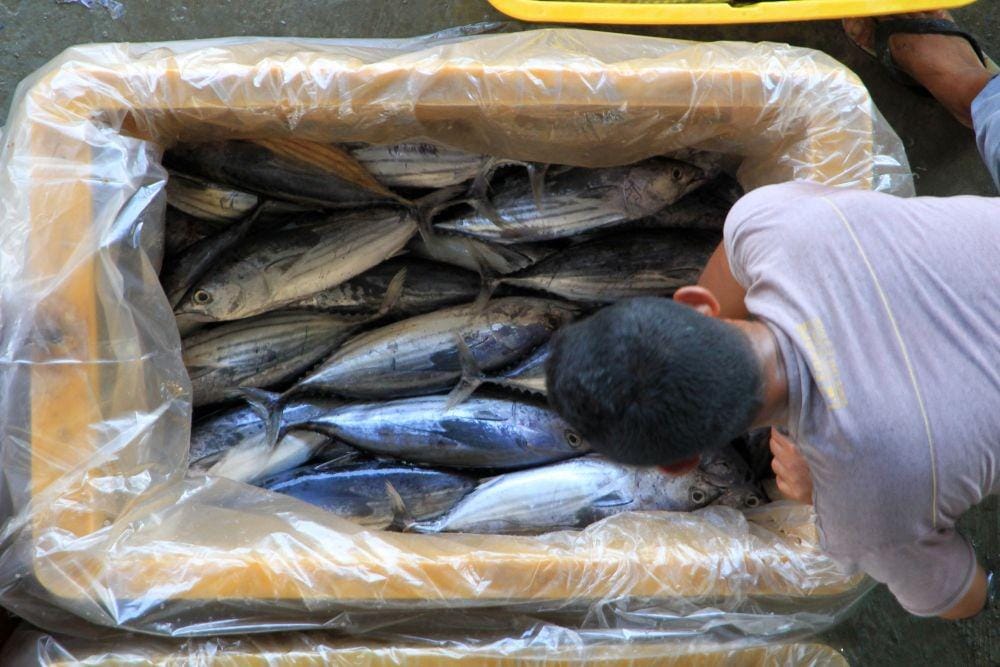 ANTARA FOTO/Syifa Yulinnas