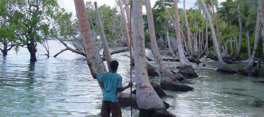 occasionalplanet.org