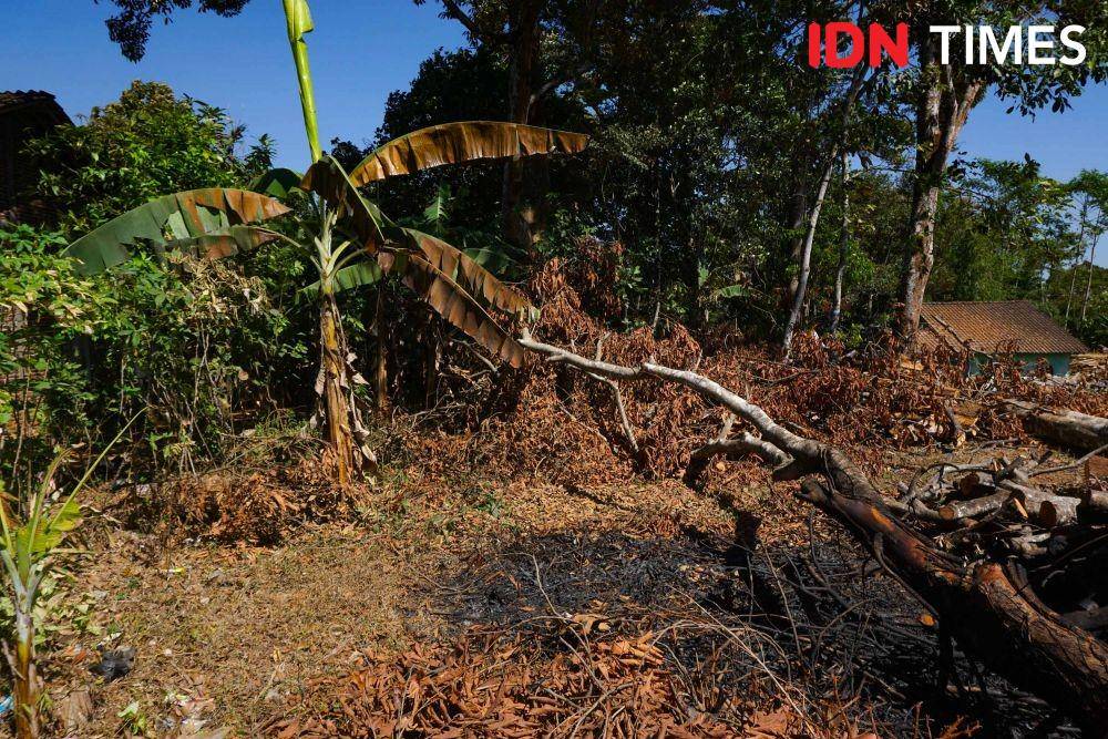 IDN Times/Dhana Kencana