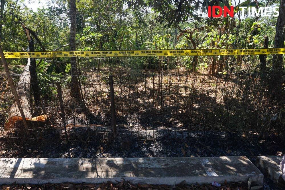 IDN Times/Dhana Kencana