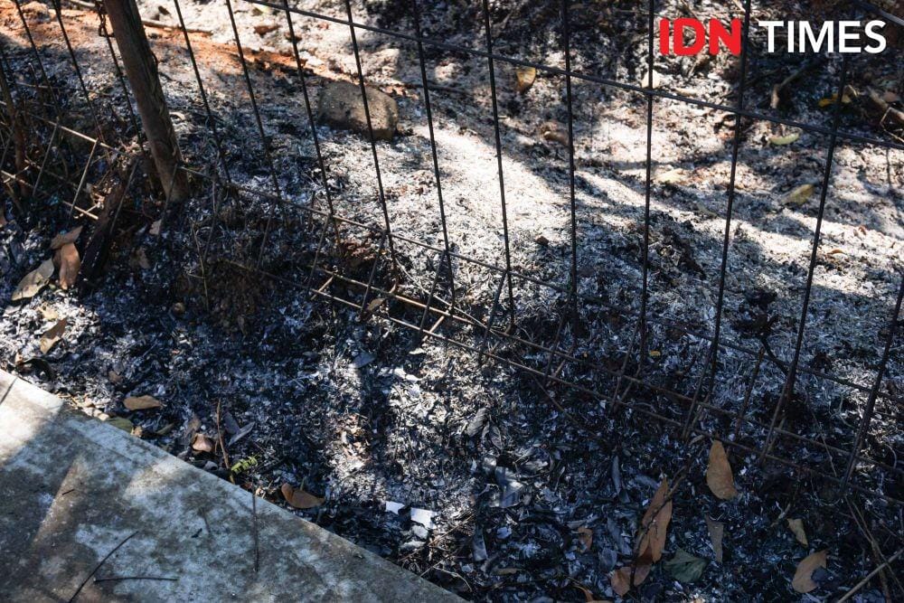 IDN Times/Dhana Kencana