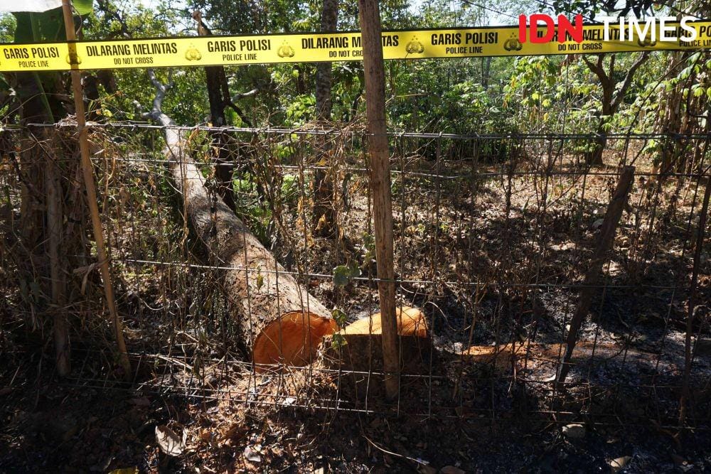 IDN Times/Dhana Kencana