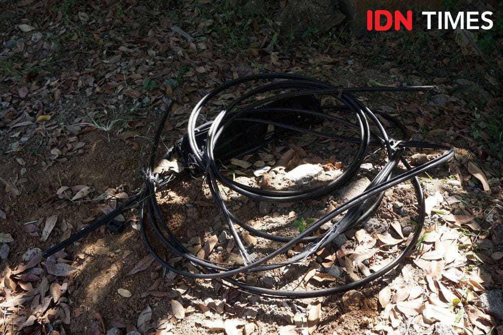 IDN Times/Dhana Kencana