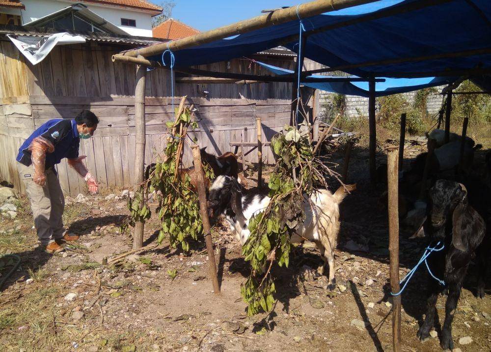 IDN Times/Nofika Dian Nugroho