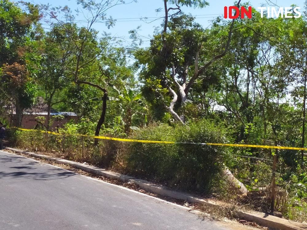 IDN Times/Dhana Kencana