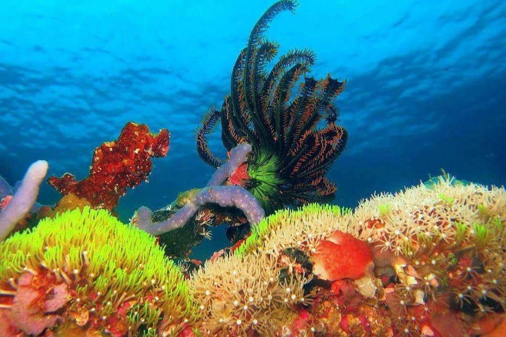 instagram.com/rogerojey