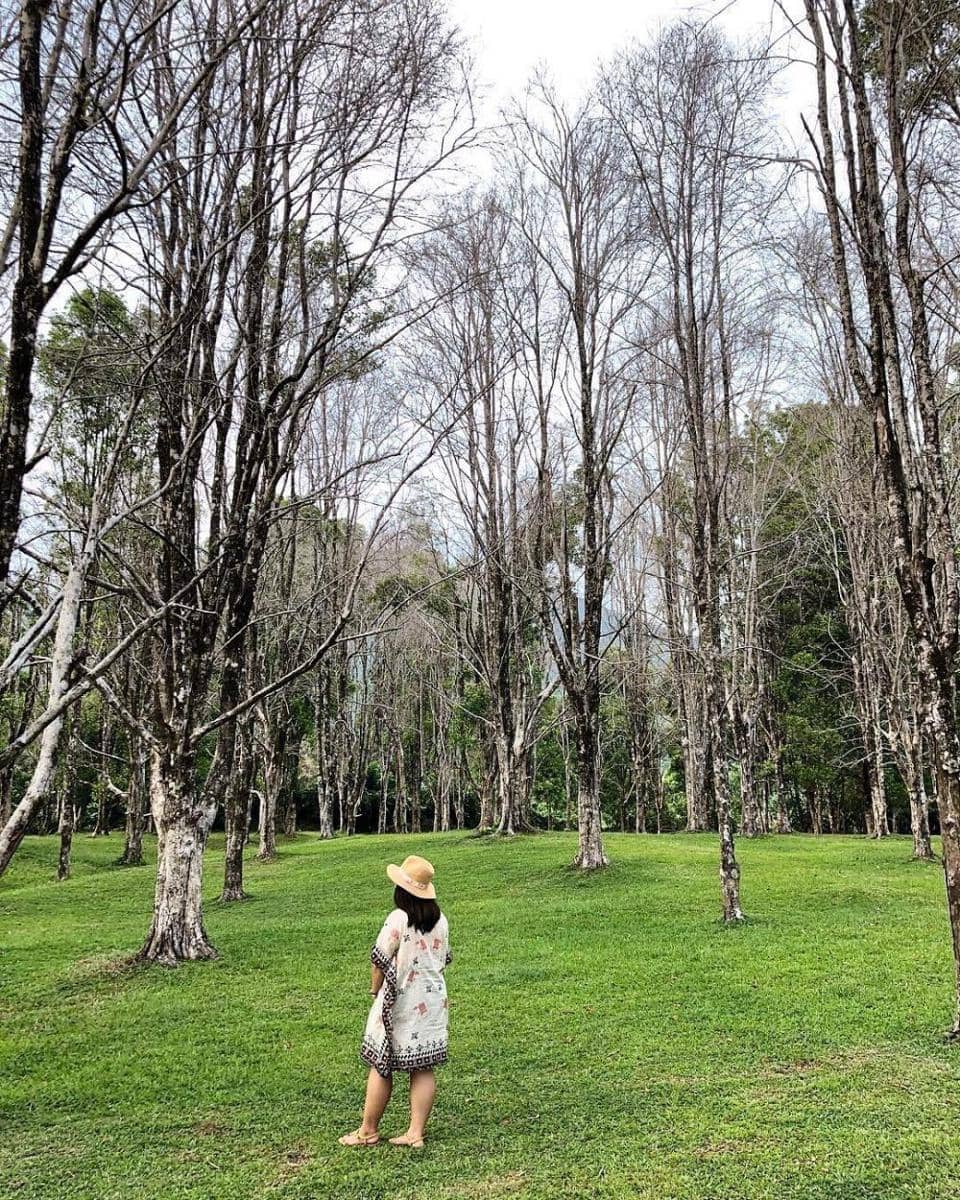 instagram.com/mellykur