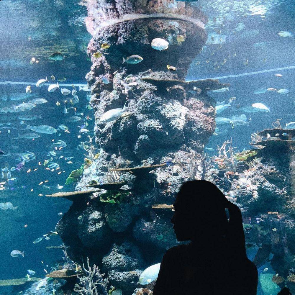 instagram.com/isyanasarasvati