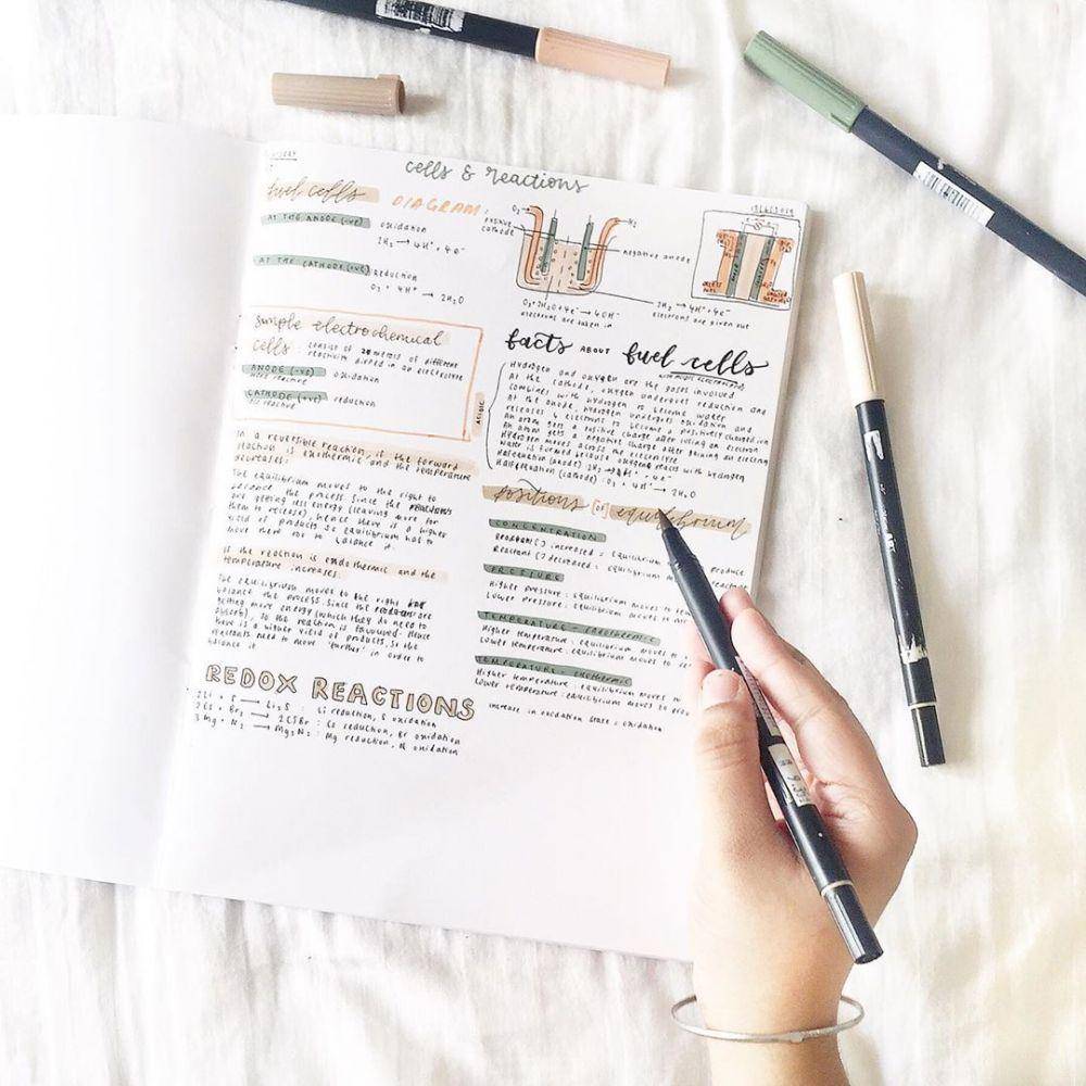 instagram.com/studylahh