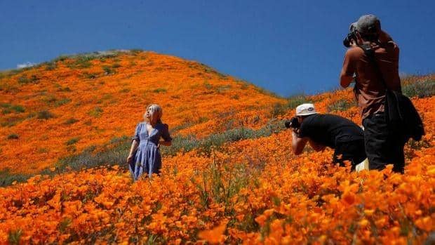 Travel.com/ Alejandra Reyes-Velarde