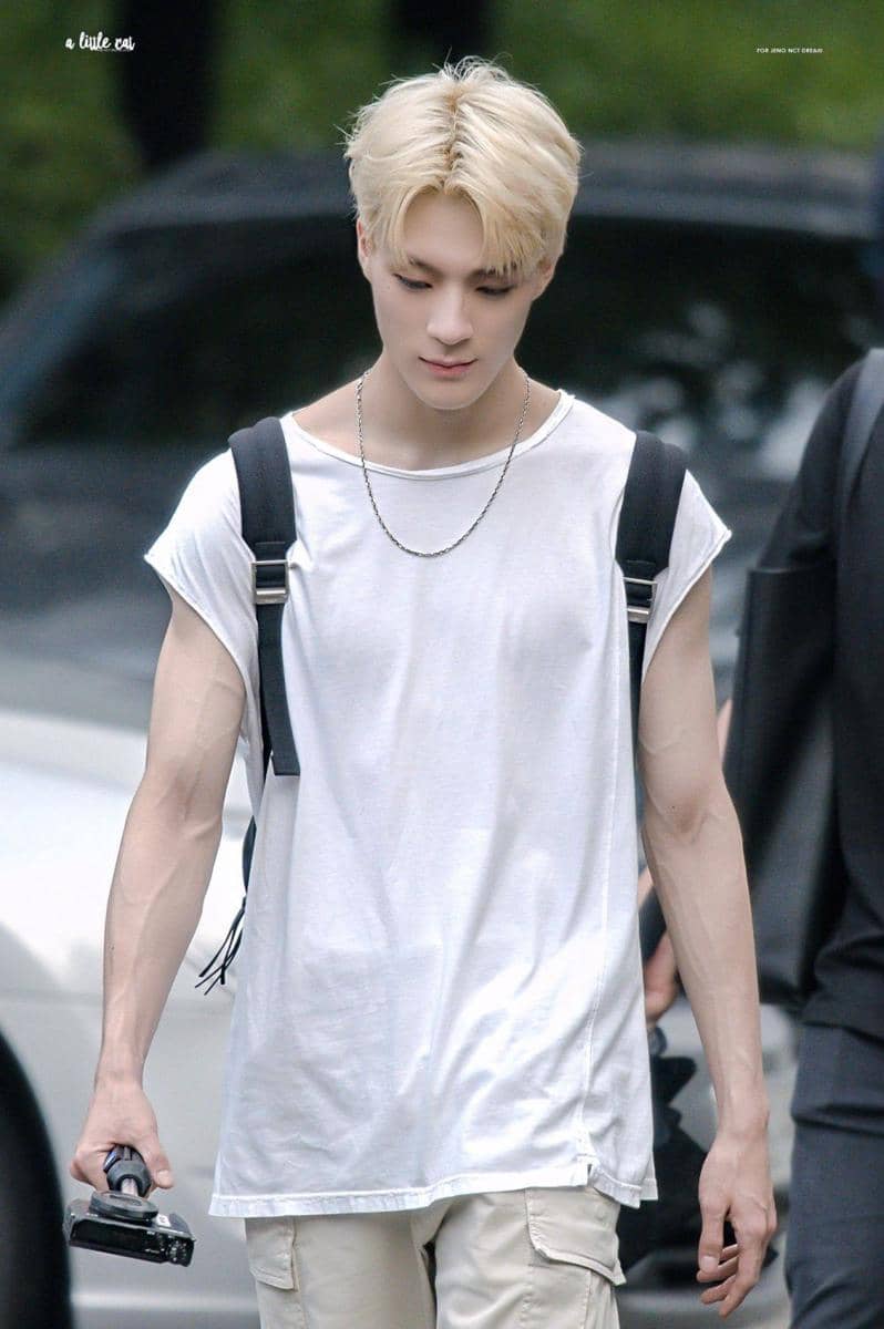 twitter.com/ALittleCat_JENO