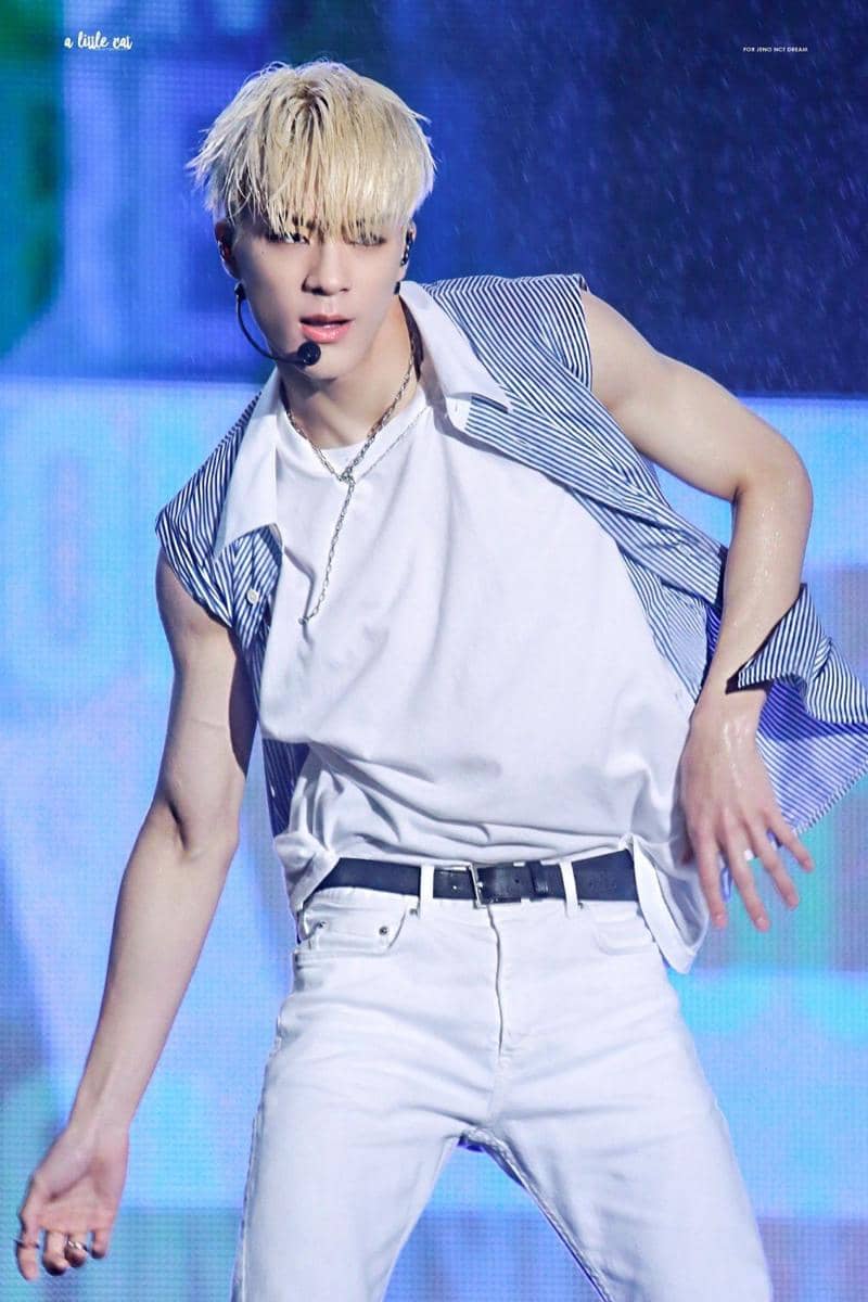 twitter.com/ALittleCat_JENO