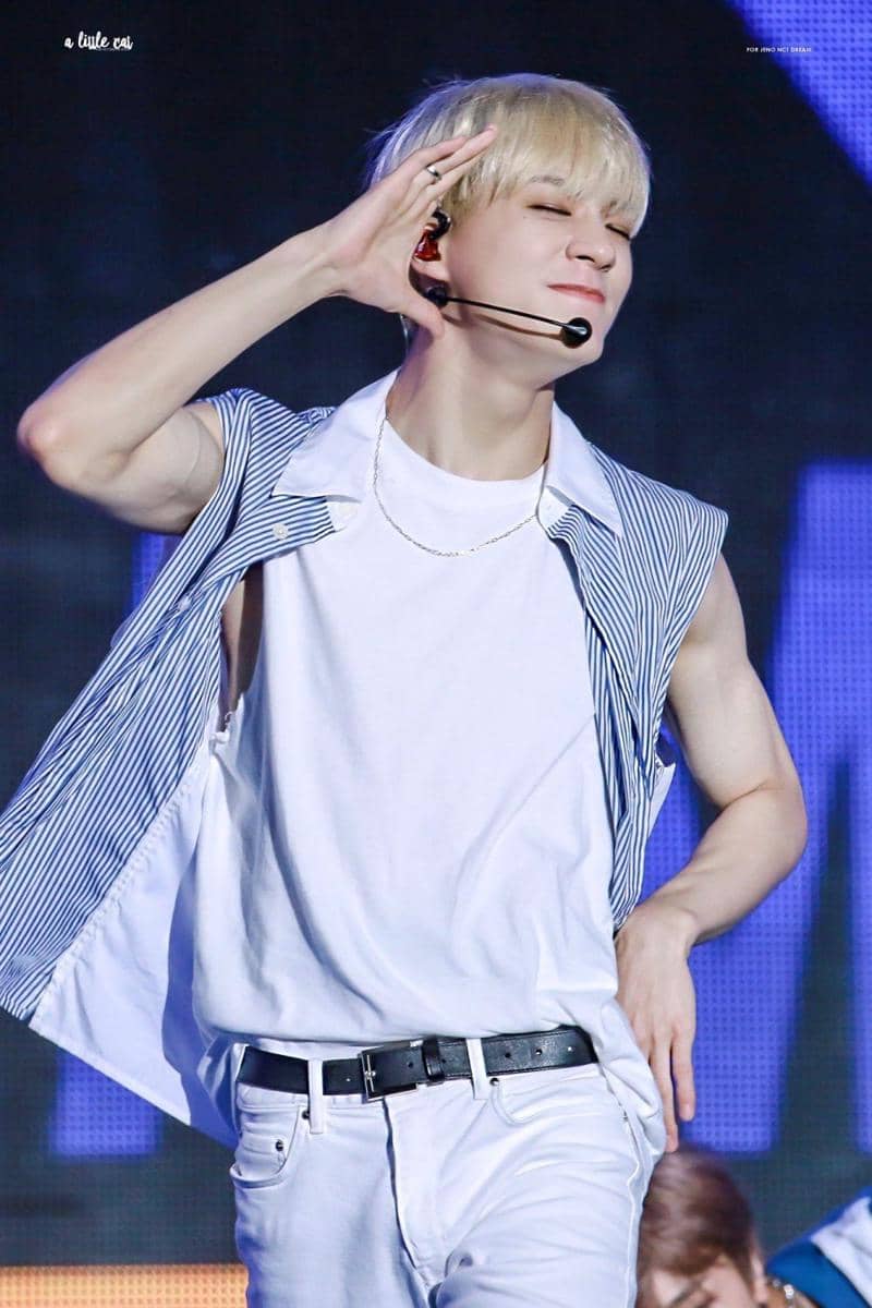 twitter.com/ALittleCat_JENO