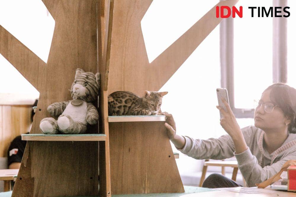 IDN Times/Prila Arofani