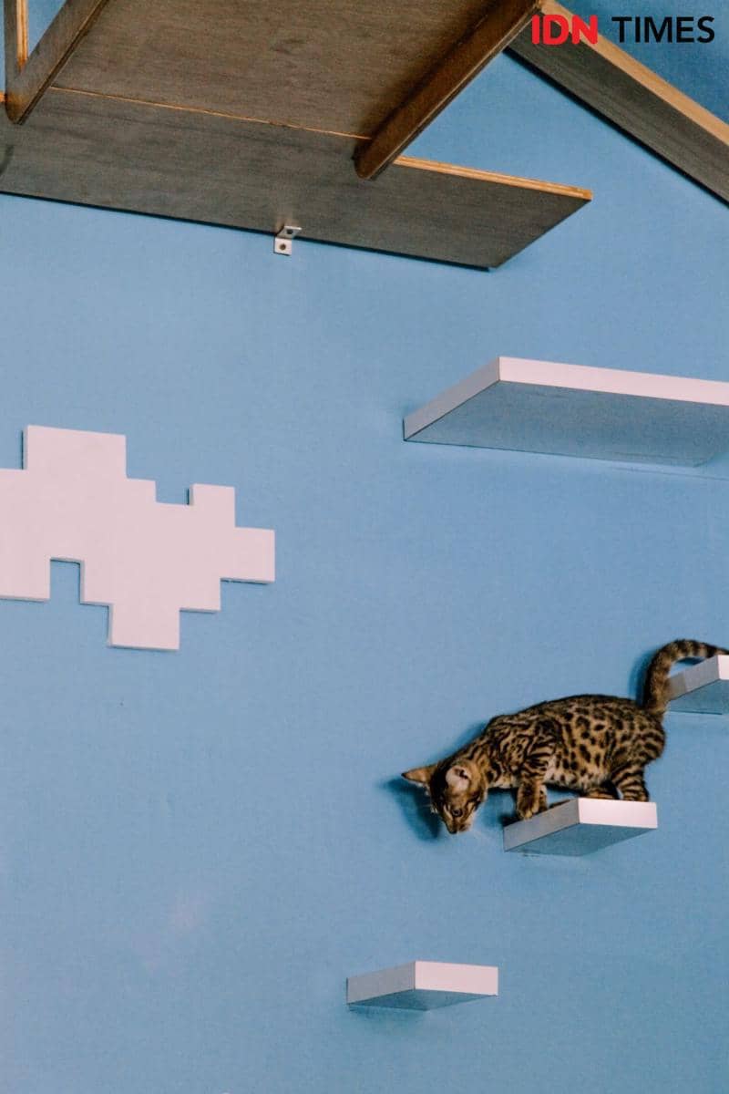 IDN Times/Prila Arofani