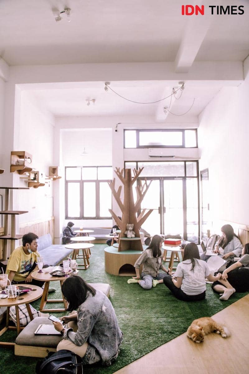 IDN Times/Prila Arofani