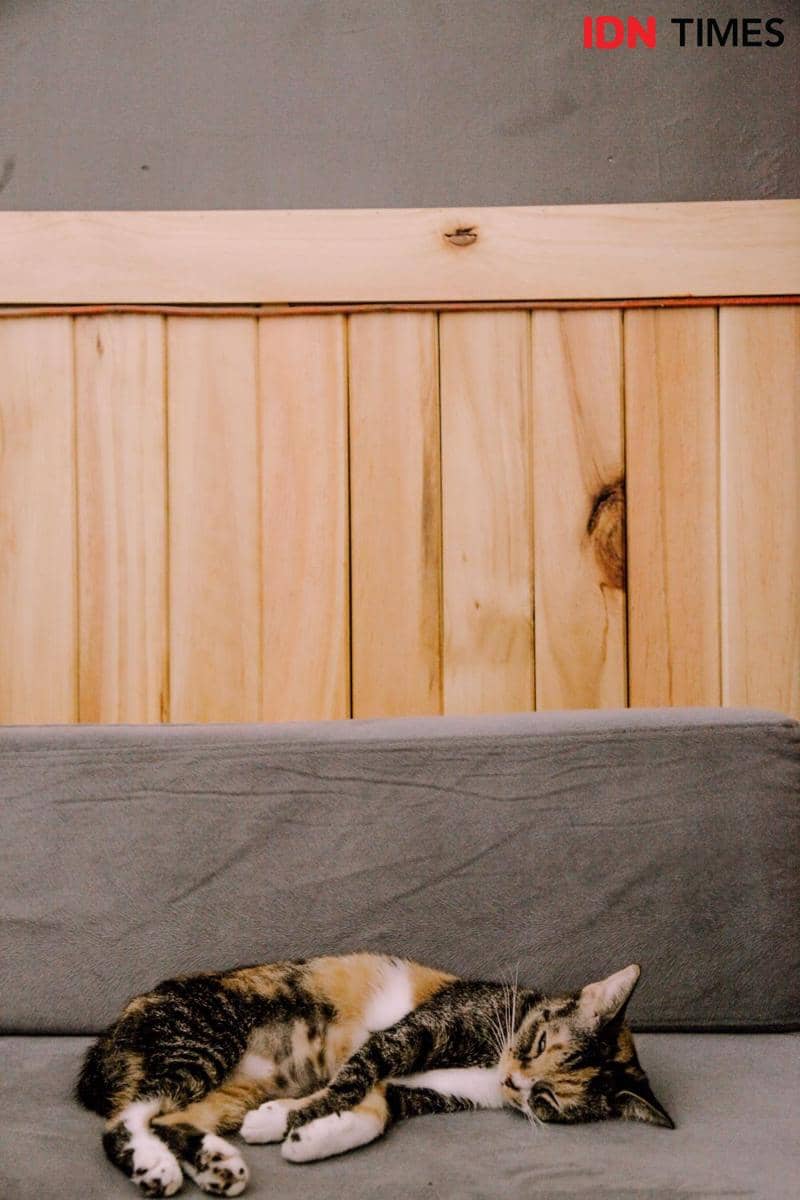 IDN Times/Prila Arofani