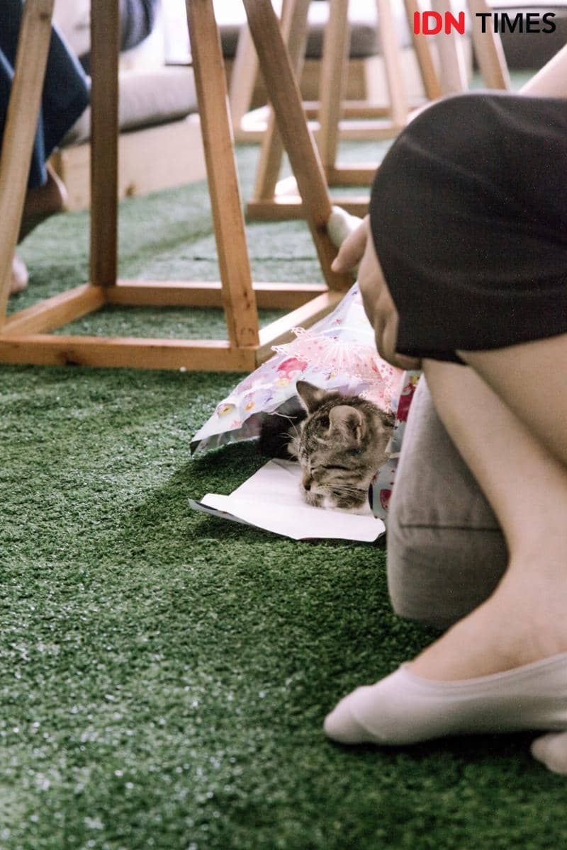 IDN Times/Prila Arofani