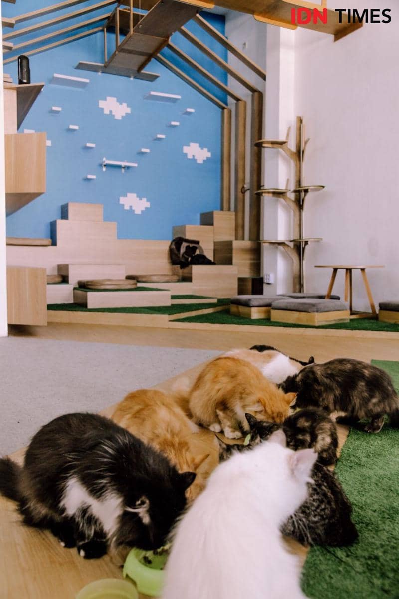 IDN Times/Prila Arofani