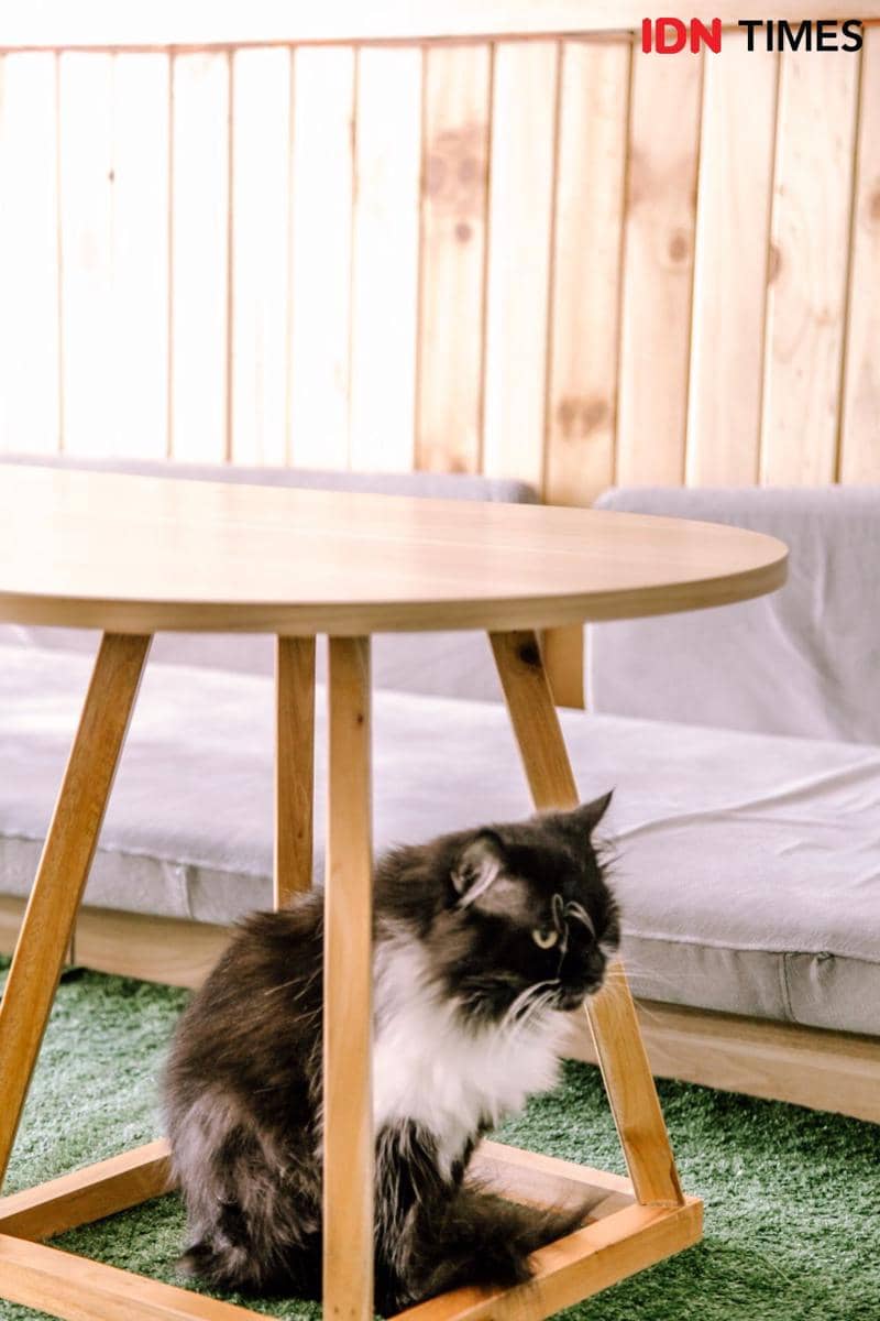 IDN Times/Prila Arofani