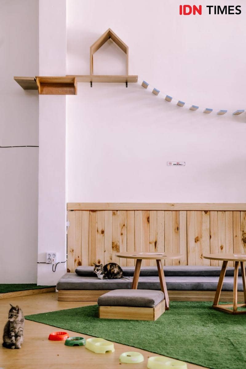 IDN Times/Prila Arofani