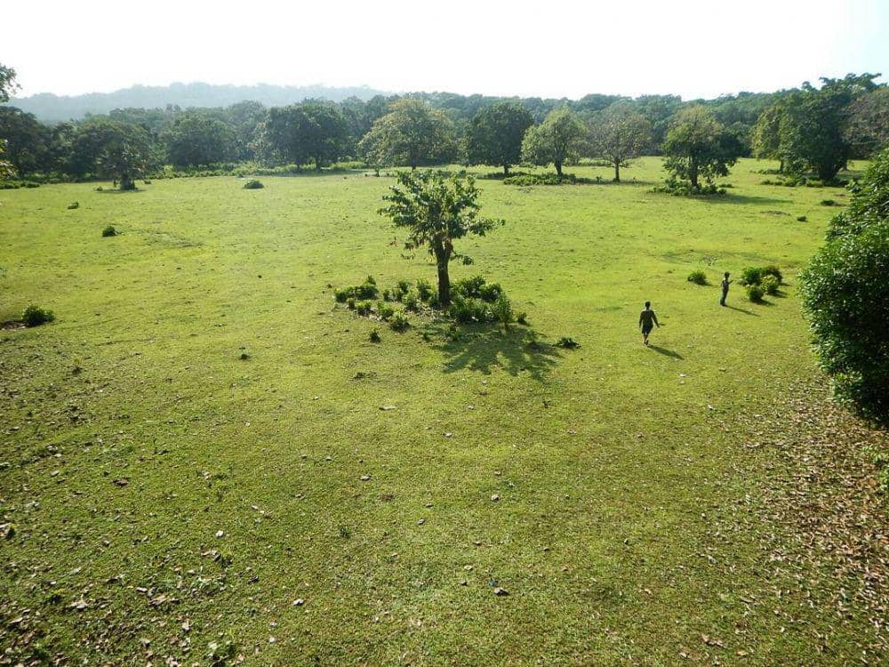 instagram.com/jejakpulau.id