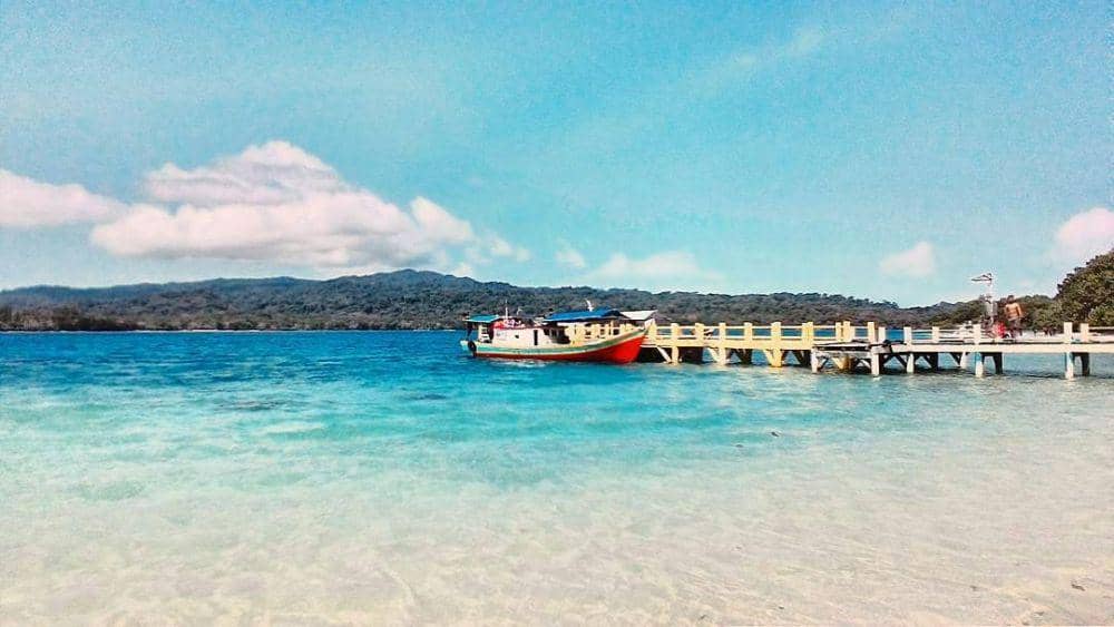 instagram.com/adelashof21