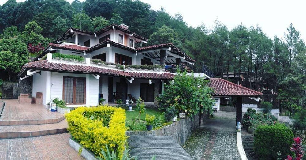 instagram.com/wantiwan030