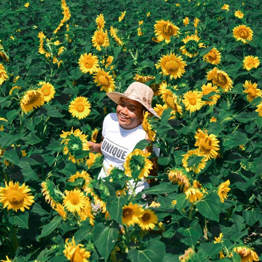 instagram.com/sadukvebriani