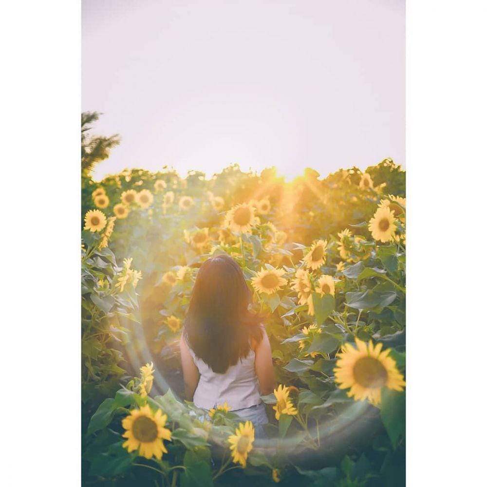 instagram.com/jiwansaduk