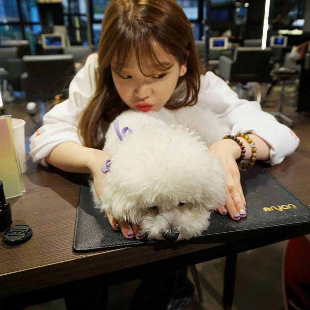 instagram.com/wm.seunghee/