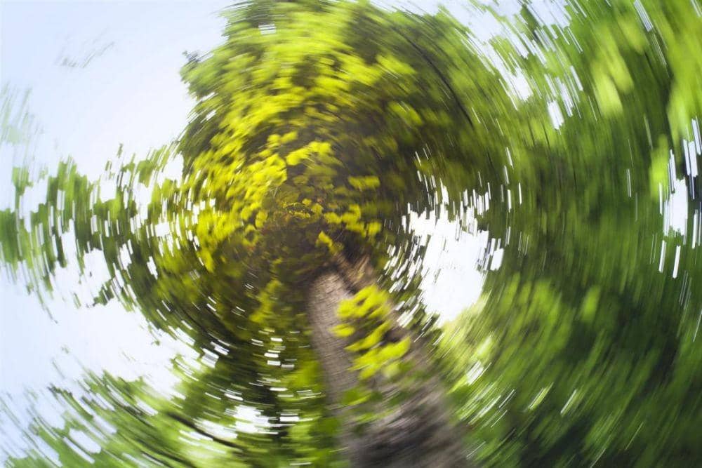 medicalnewstoday.com